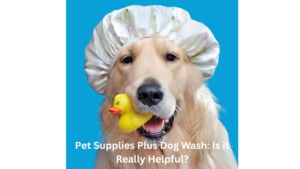 Pet Supplies Plus Dog Wash: Is it Really Helpful?